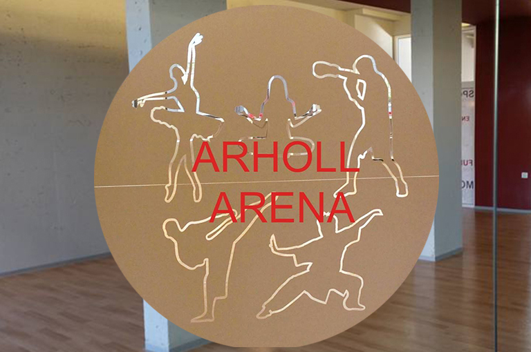 arholl-arena-grafik